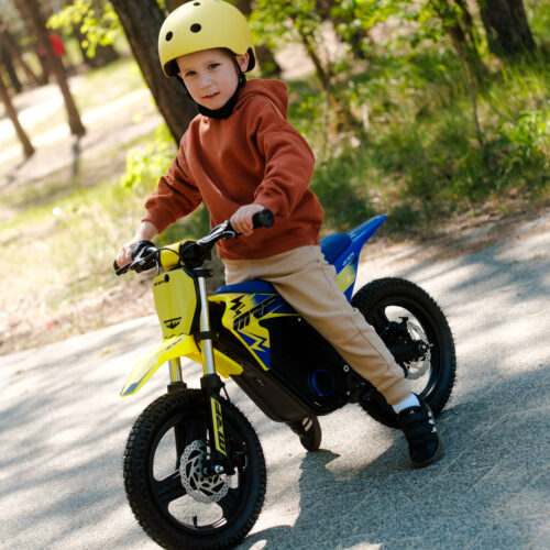 DSCF3599 Pit Bike MRF eJOY 350 MX