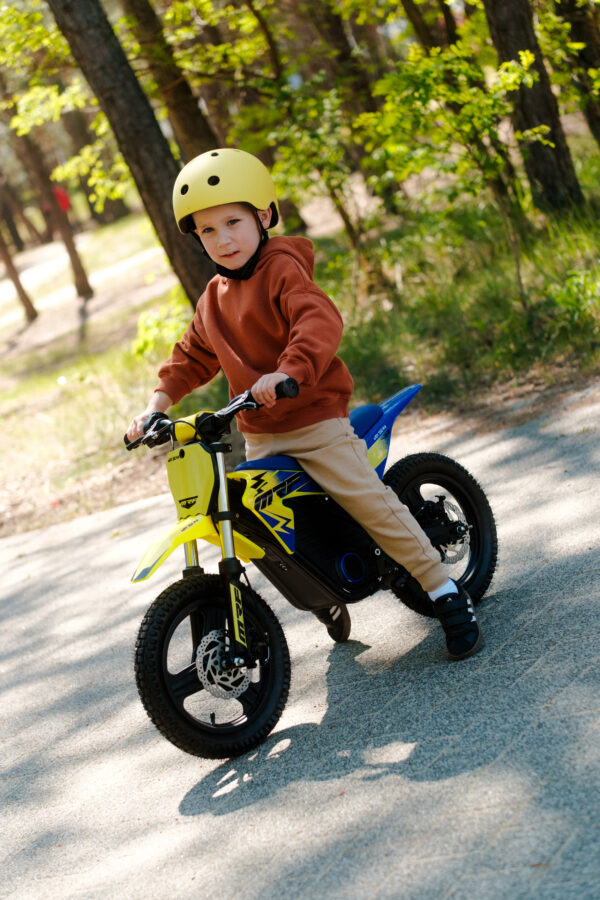 DSCF3599 Pit Bike MRF eJOY 350 MX