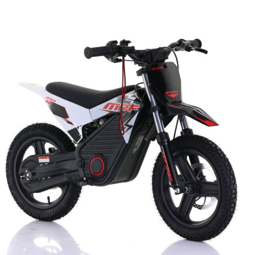 IMG_2809 Pit Bike MRF eJOY 500 MX