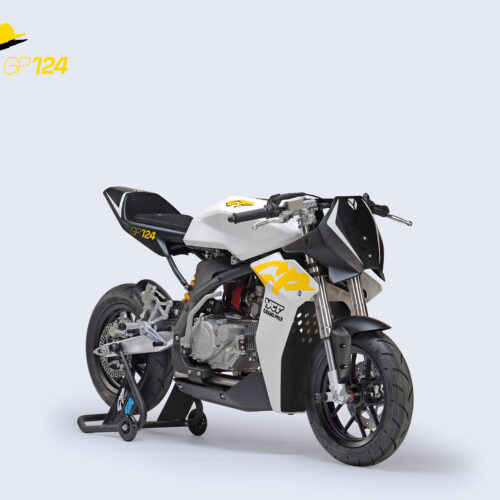 Mini GP YCF GP124