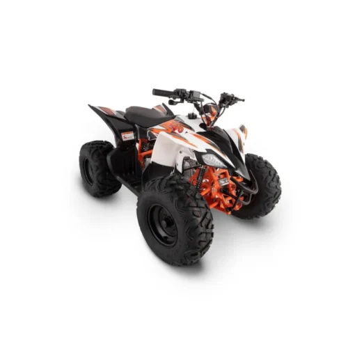 quad-kayo-at125 AT125 quad KAYO