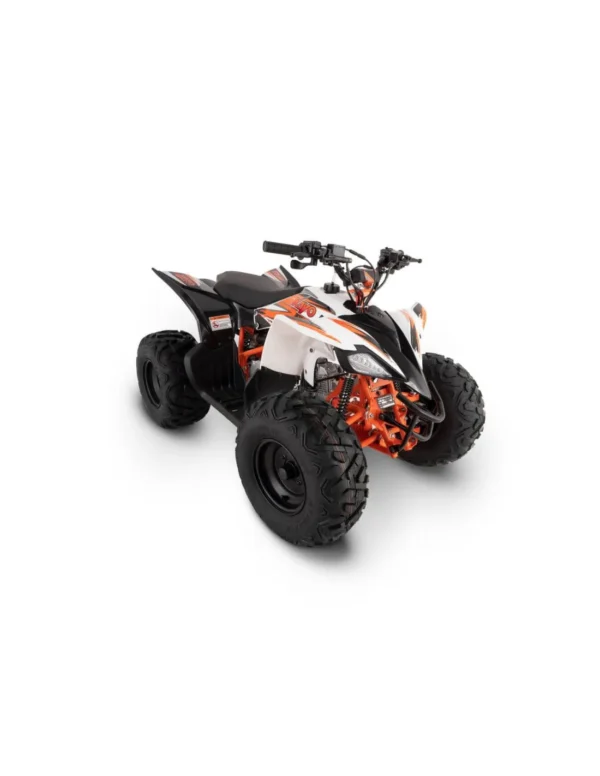 quad-kayo-at125 AT125 quad KAYO