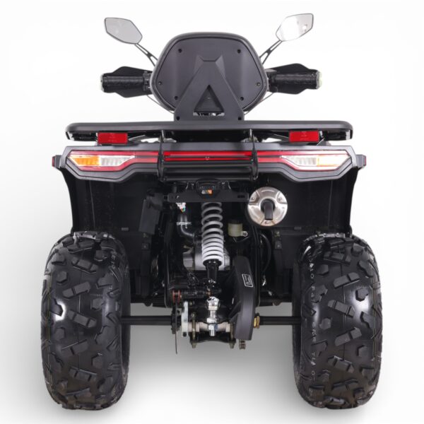 ASIX CHALLENGER 250 4T NOWOŚĆ T3B!    10"", 1+R, EFI, E-START + ALU + HAK + WYCIĄGARKA