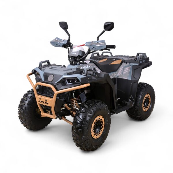 Image_20250826050247_81_6 ASIX GRIZZLY125 4T 8", 1+R/3+R, E-START + HAK (3+1)