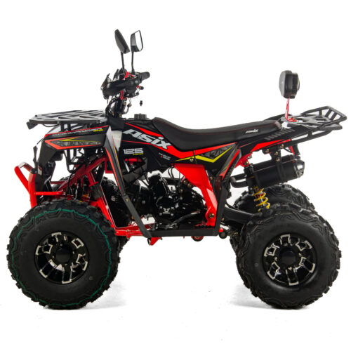 QUAD ASIX COMMANDER 125-06 ASIX COMMANDER 125 4T 8", 1+R / 3+R, E-START + ALU + HAK(3+R) + LISTWA LED
