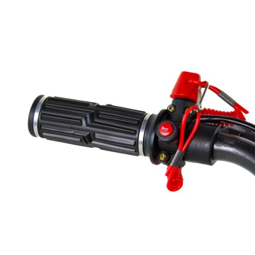 XTR e-702 S 800W 10/10", AUTO, 36V