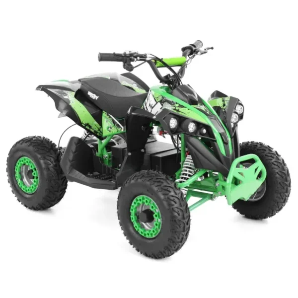 Heccht 56120