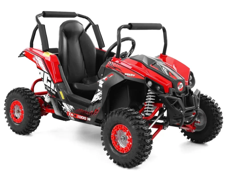 BUGGY