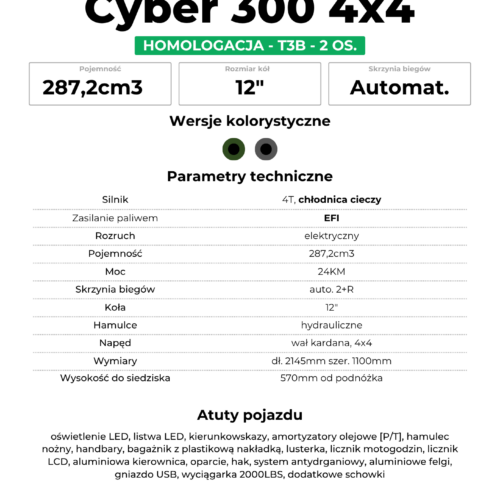 CYBER 4x4  300 4T T3B