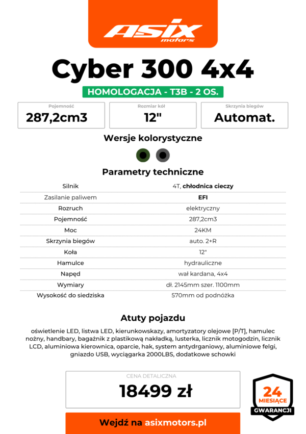 CYBER 4x4  300 4T T3B