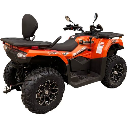 DIABOLINI BEAST 450   4X4  t3b