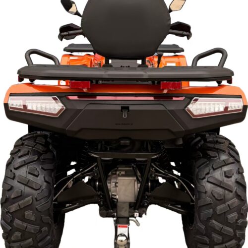 DIABOLINI BEAST 450   4X4  t3b