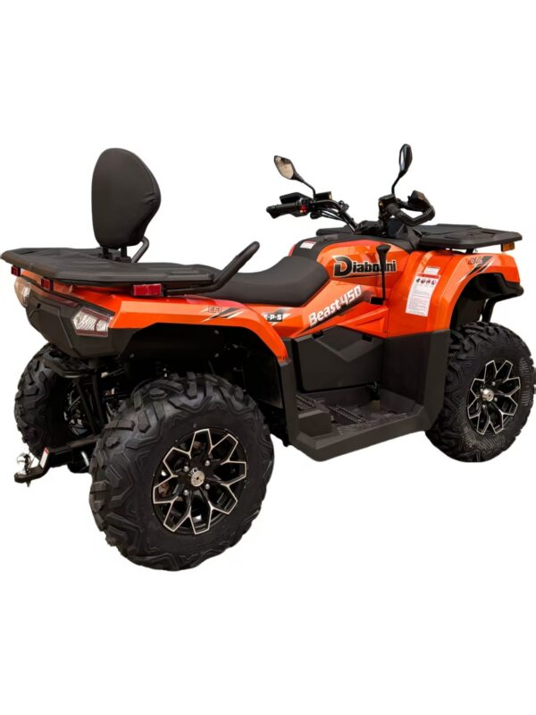 DIABOLINI BEAST 450   4X4  t3b