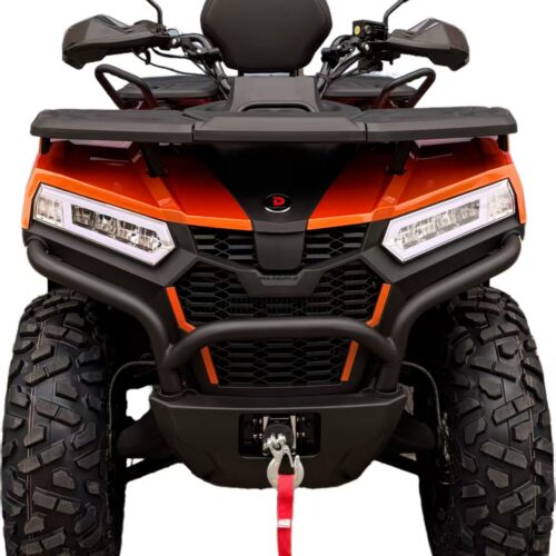 DIABOLINI BEAST 450   4X4  t3b