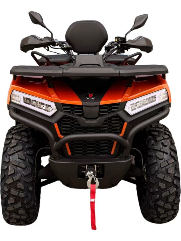 DIABOLINI BEAST 450   4X4  t3b
